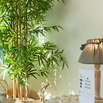 Апартаменты Beachome4u *