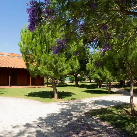 Appartement Beachome4u *